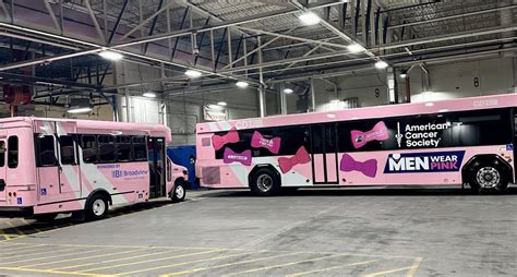 CDTA unveils pink buses for Breast Cancer Awareness Month